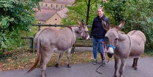 Kloster Maulbronn, im Vordergrund zwei Esel und ein Mädchen 